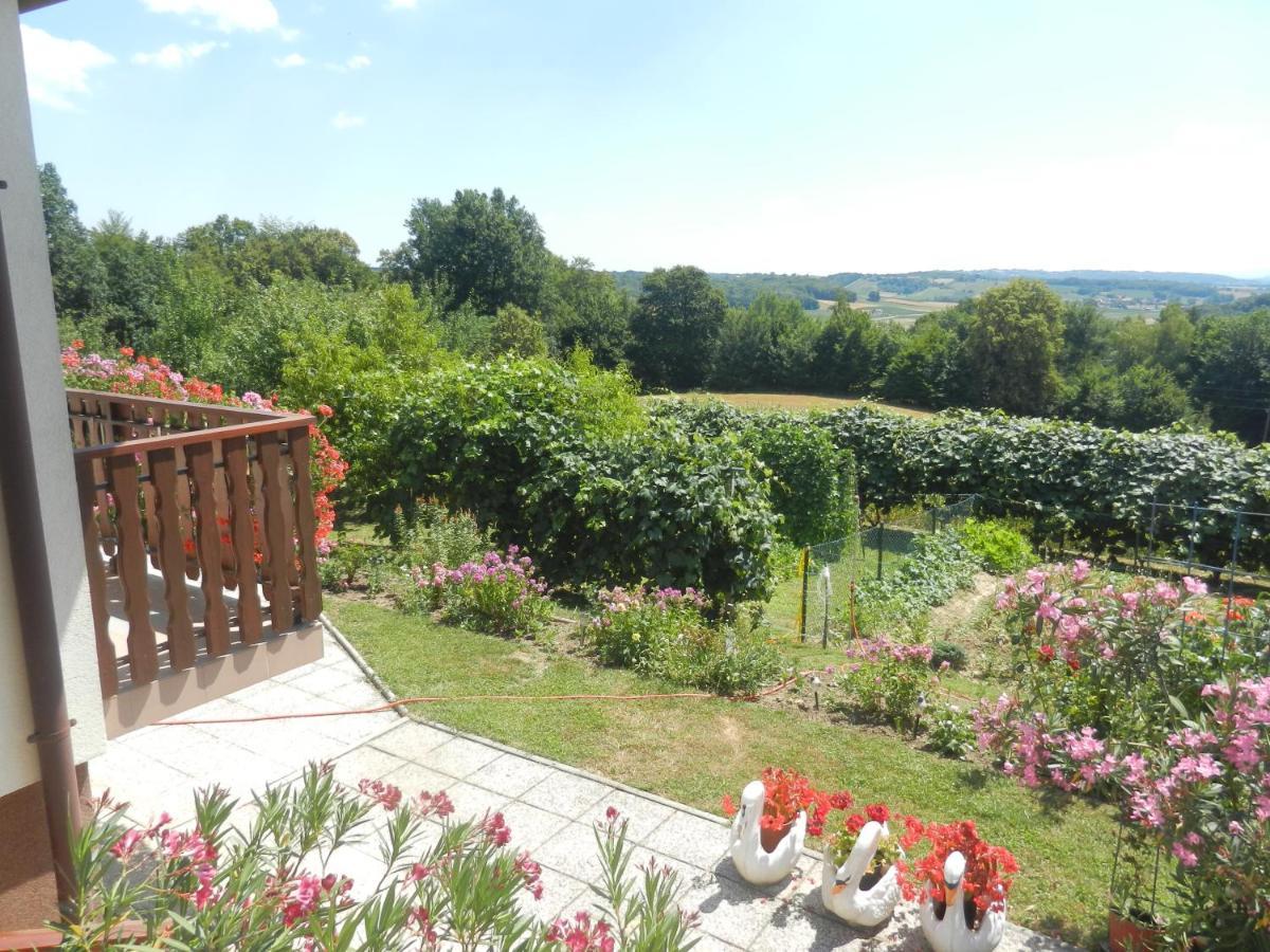 Urlaub Fuer Die Seele - Erholung Pur In Der Natur - Ferienhaus Mit Infrarotkabine & Relax-Raum Rucmanci エクステリア 写真