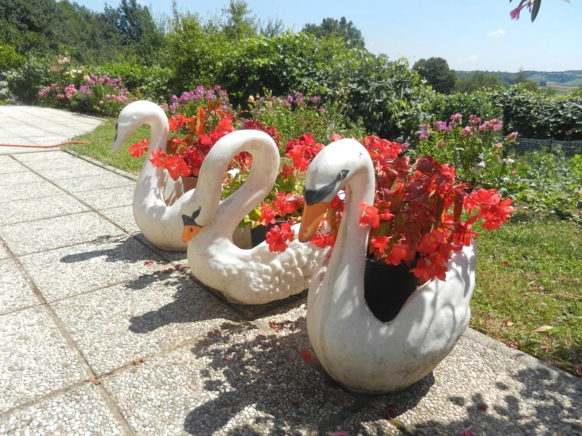 Urlaub Fuer Die Seele - Erholung Pur In Der Natur - Ferienhaus Mit Infrarotkabine & Relax-Raum Rucmanci エクステリア 写真