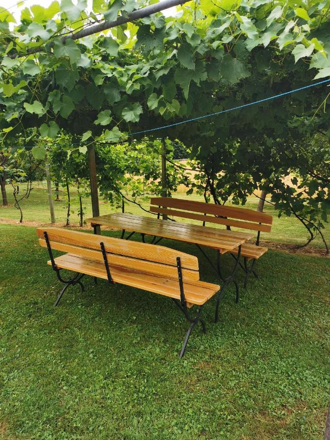Urlaub Fuer Die Seele - Erholung Pur In Der Natur - Ferienhaus Mit Infrarotkabine & Relax-Raum Rucmanci エクステリア 写真
